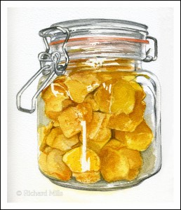 Cinder Toffee 2 (Honeycomb) - Watercolour